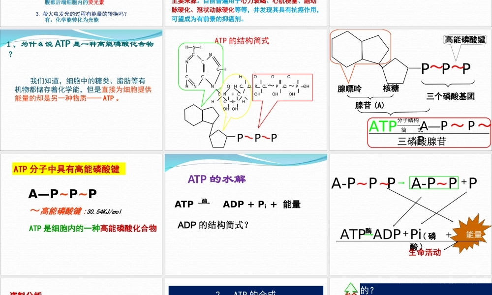 生物学必修一52《细胞的能量“通货”——ATP》PPT课件