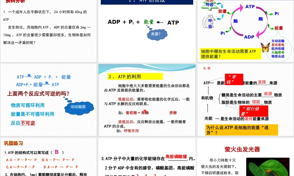 生物学必修一52《细胞的能量“通货”——ATP》PPT课件