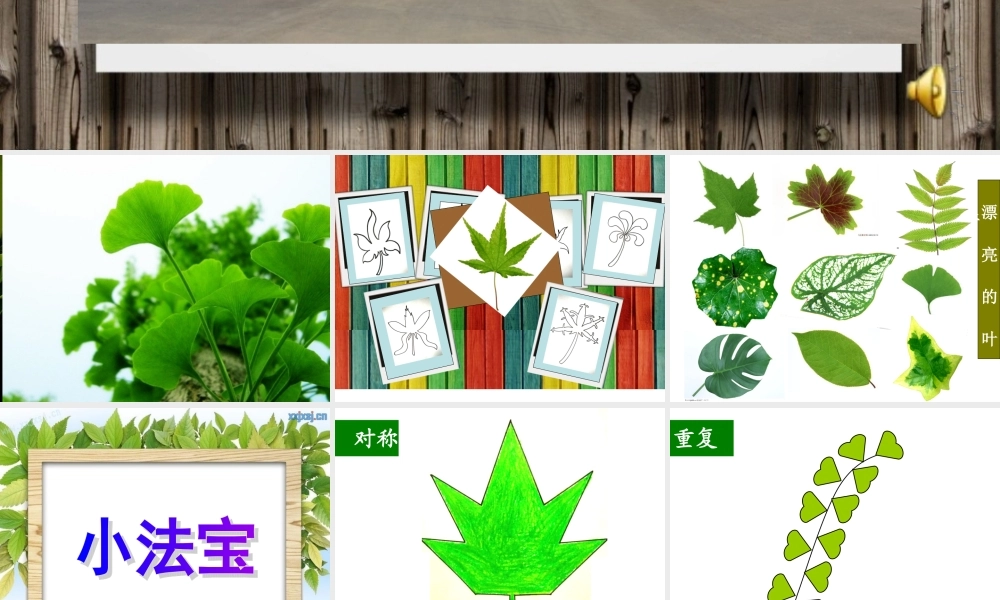 会变的叶子课件