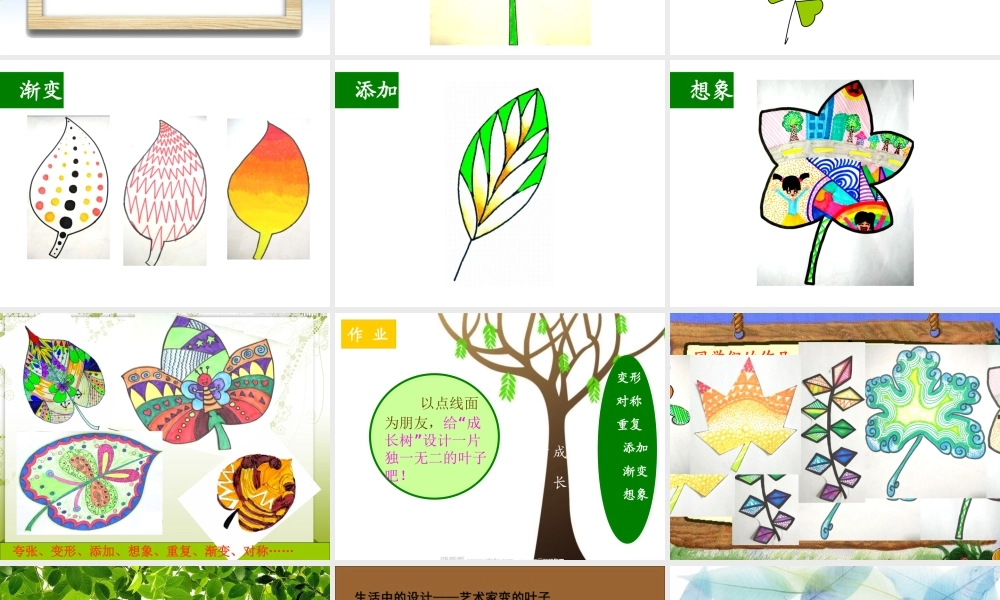 会变的叶子课件