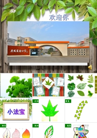 会变的叶子课件