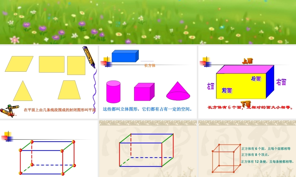 《长方体的认识》11
