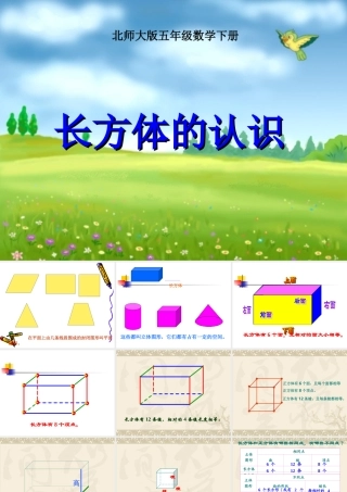 《长方体的认识》11