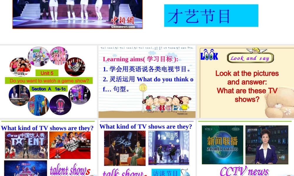 2013秋人教版英语八年级上unit5Doyouwanttowatchagameshow第一课时课件