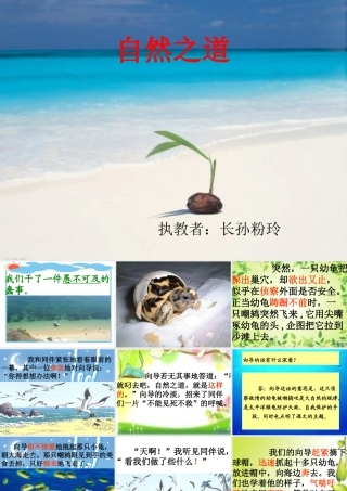 自然之道课件