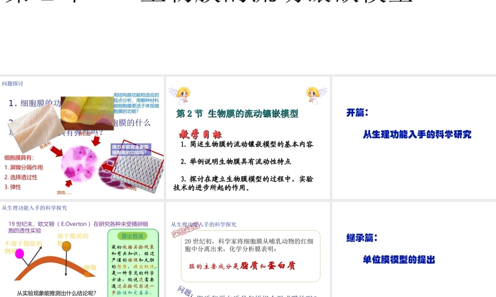 生物膜的流动镶嵌模型修改后