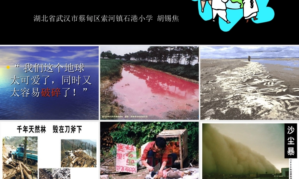 《只有一个地球》课件1