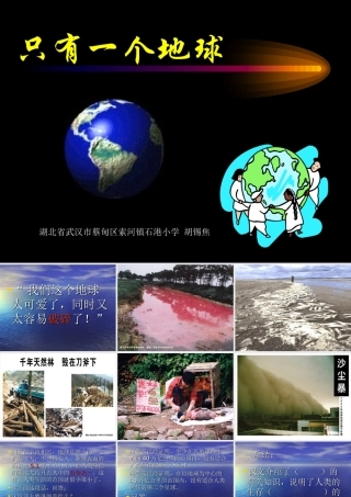 《只有一个地球》课件1