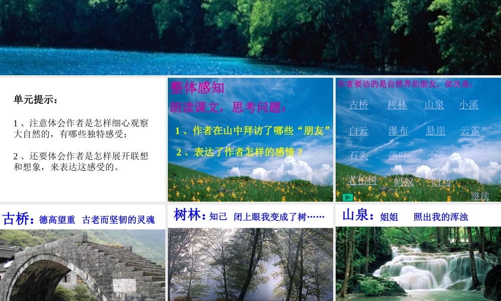 《山中访友》课件3