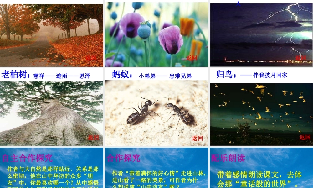 《山中访友》课件3