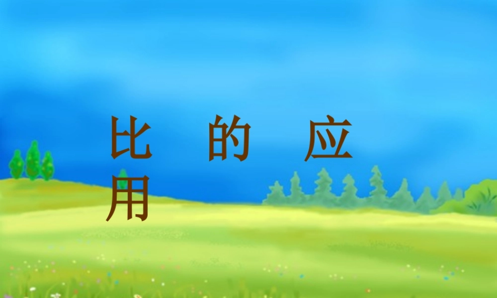 比的应用教案