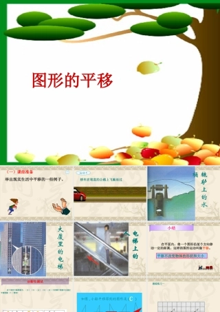 图形的平移课件_张欣亮