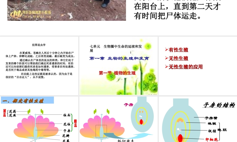 《植物的生殖》
