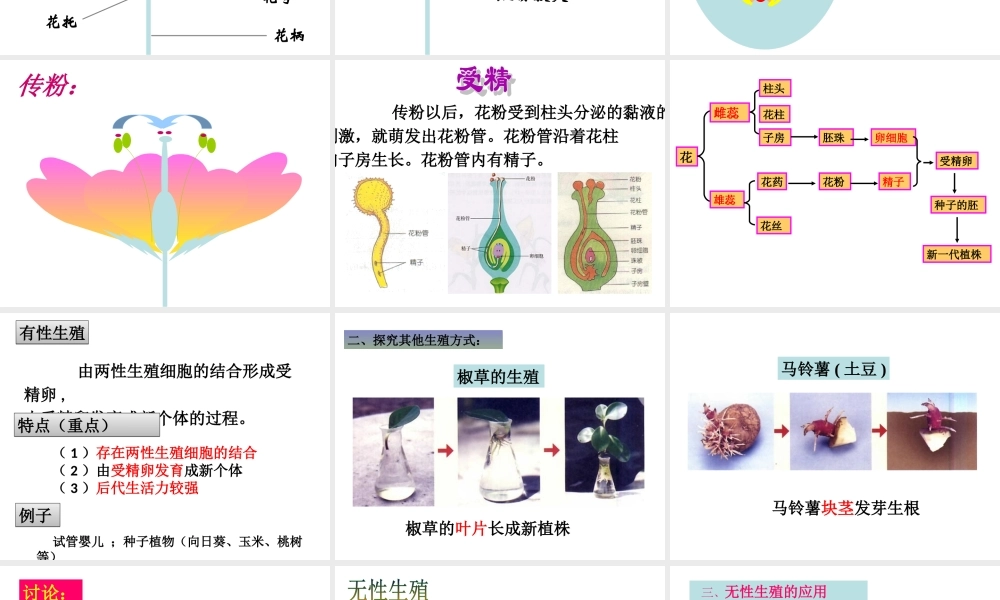 《植物的生殖》