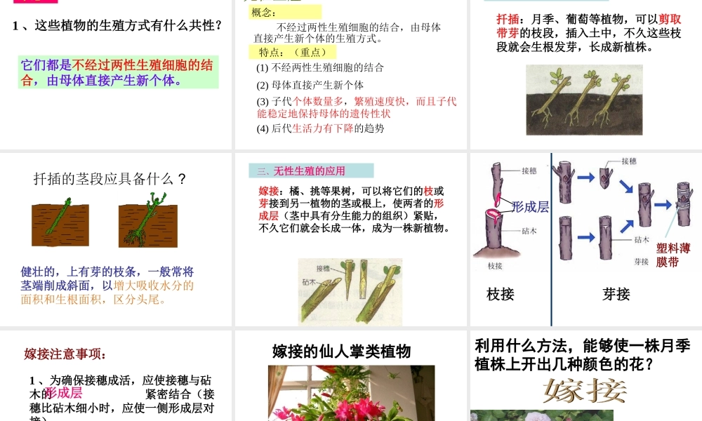 《植物的生殖》