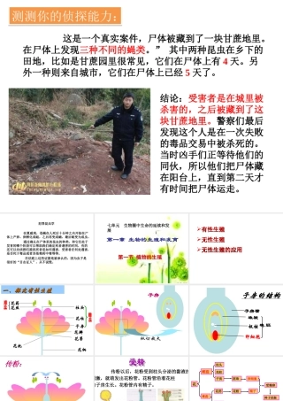 《植物的生殖》