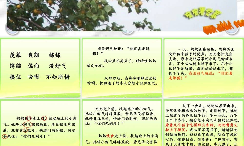 杏儿熟了第二课时