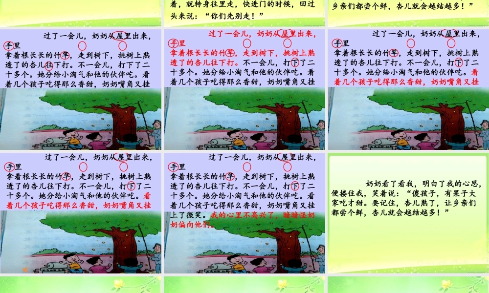 杏儿熟了第二课时