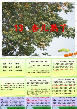 杏儿熟了第二课时