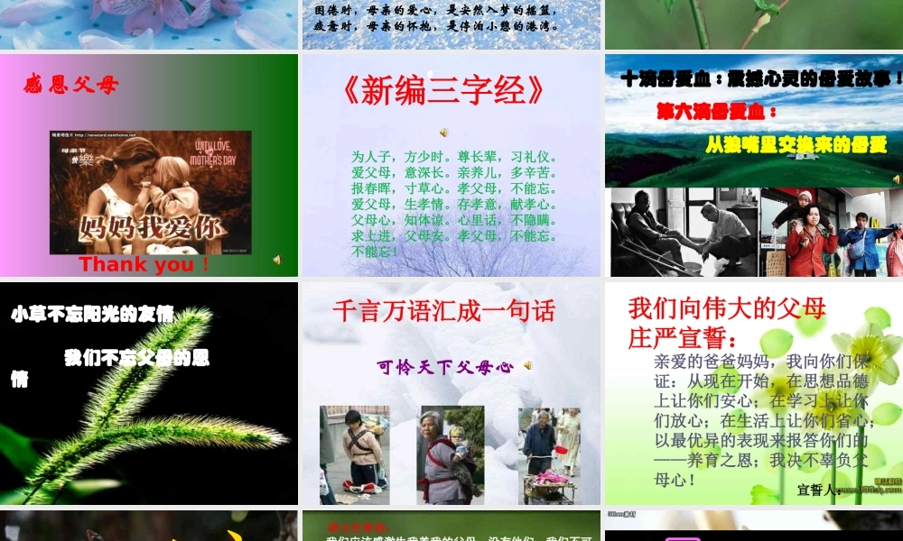 感恩父母主题班