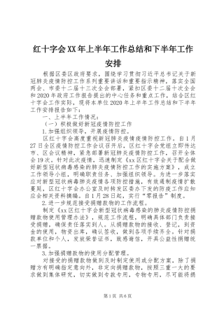 红十字会XX年上半年工作总结和下半年工作安排