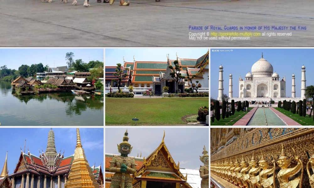 公开课与象共舞