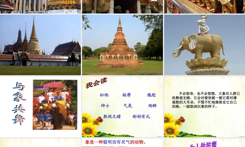 公开课与象共舞