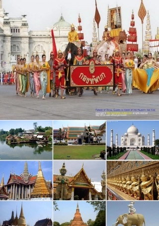 公开课与象共舞