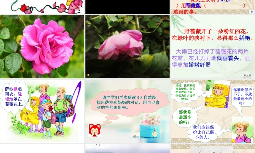 二下《我是最弱小的吗》l李一凡