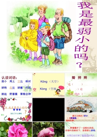 二下《我是最弱小的吗》l李一凡