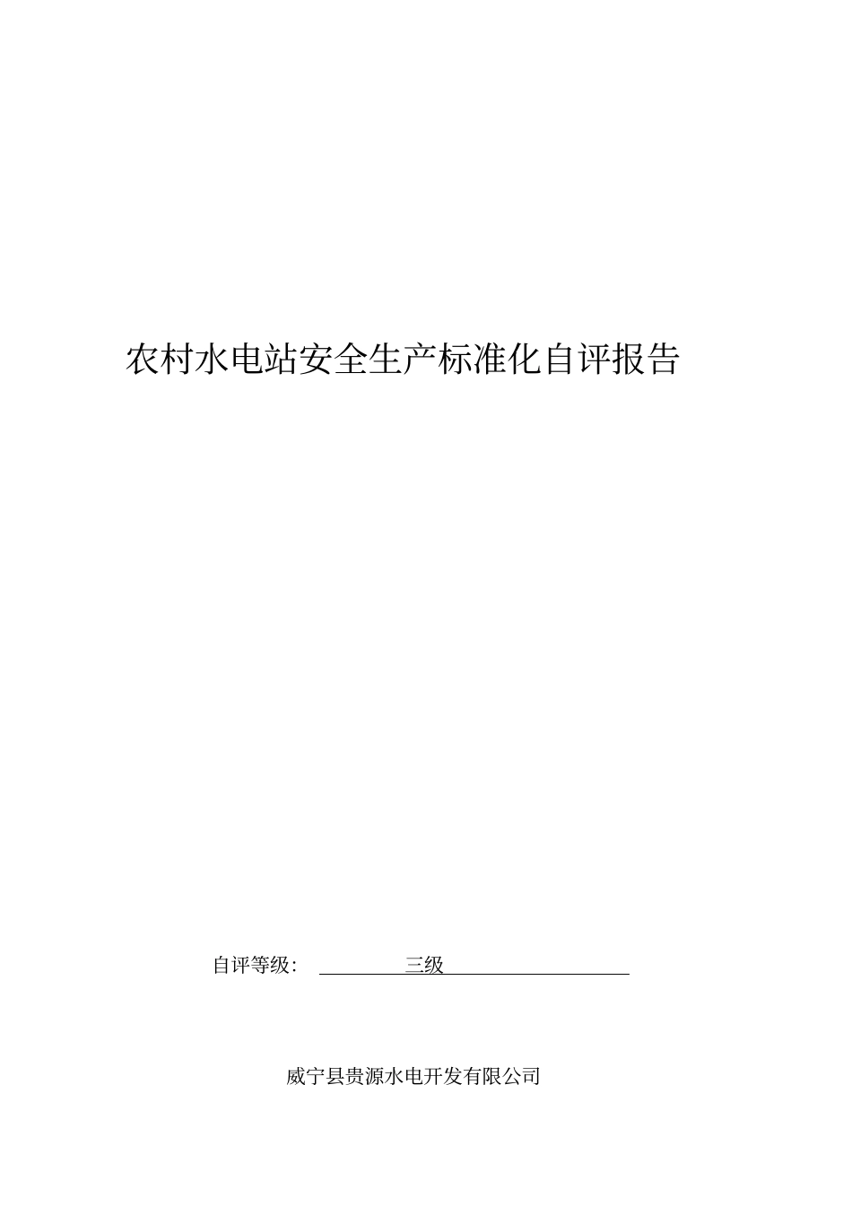 农村水电站安全生产标准化自评报告_第1页