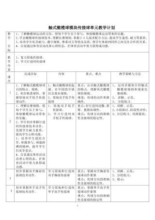 增城市派潭中学触式橄榄球传接球教案（终极版）