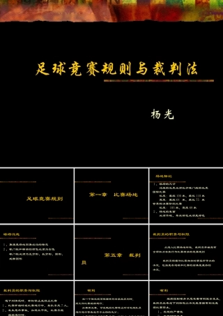 足球竞赛规则及裁判法－杨光