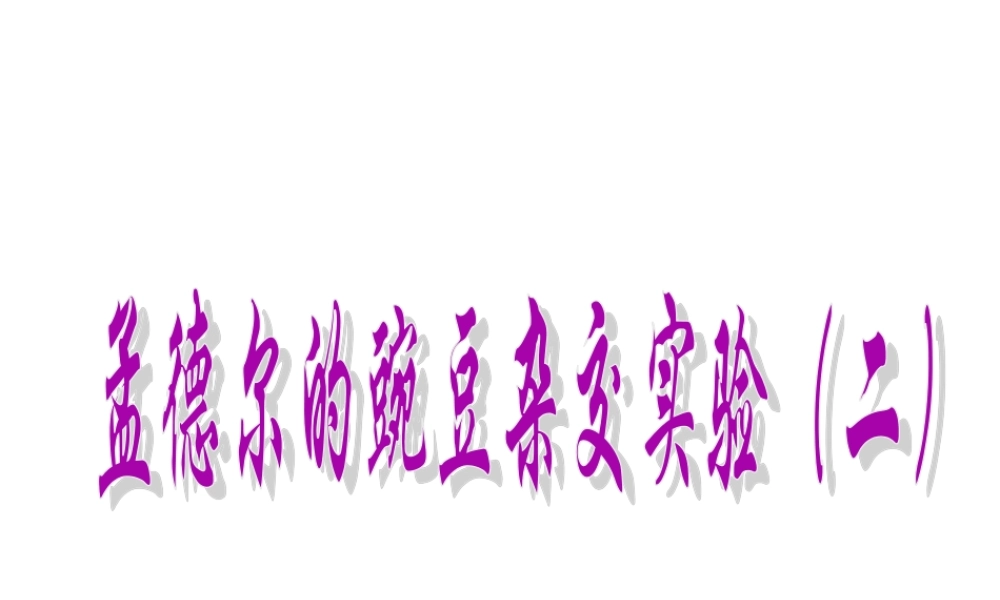 孟德尔豌豆杂交实验二_自由组合定律2