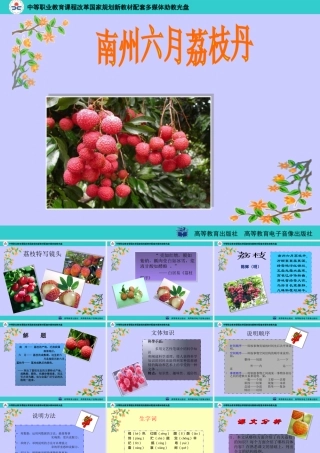 《南州六月荔枝丹》