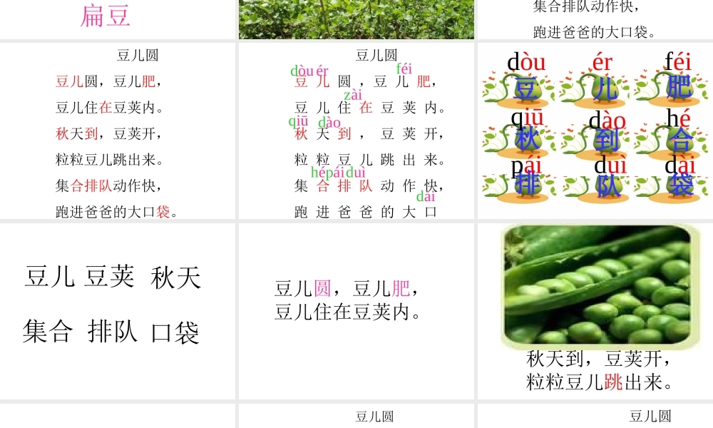 《豆儿圆》课件