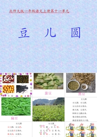 《豆儿圆》课件