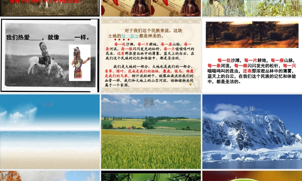 六上第四组15课这片土地是神圣的公开课