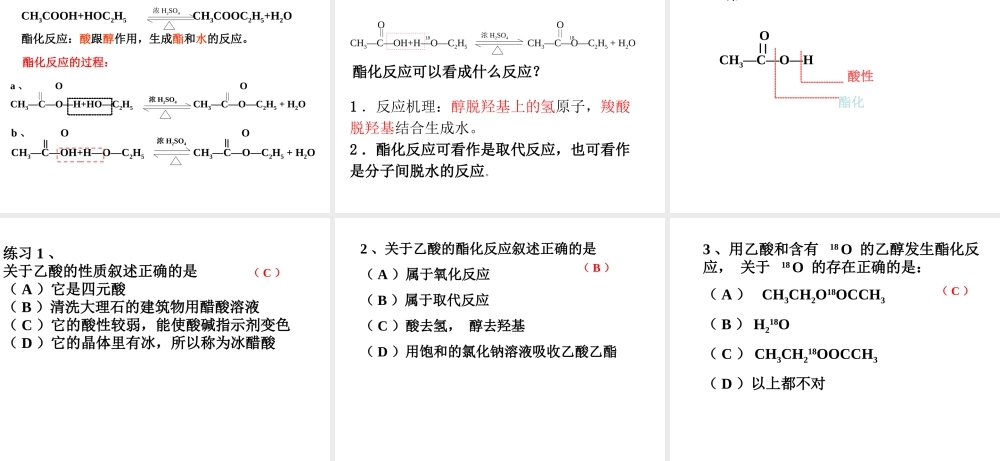 食品中的有机化合物——乙酸