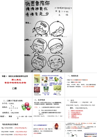 食品中的有机化合物——乙酸