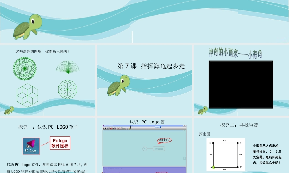 指挥海龟起步走