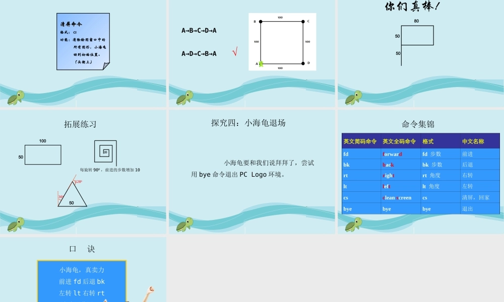 指挥海龟起步走