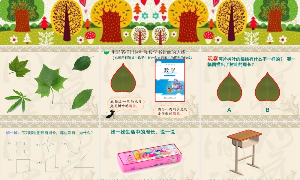 什么是周长第一课时