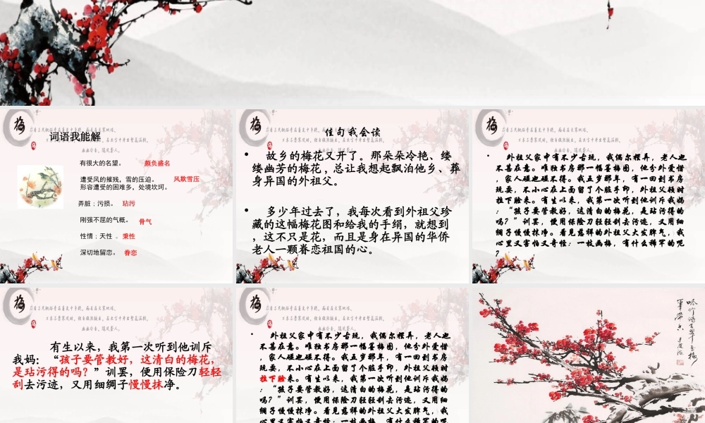 梅花魂优秀课件2