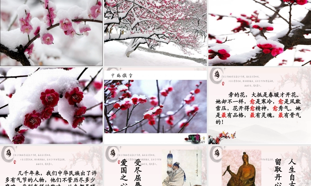梅花魂优秀课件2