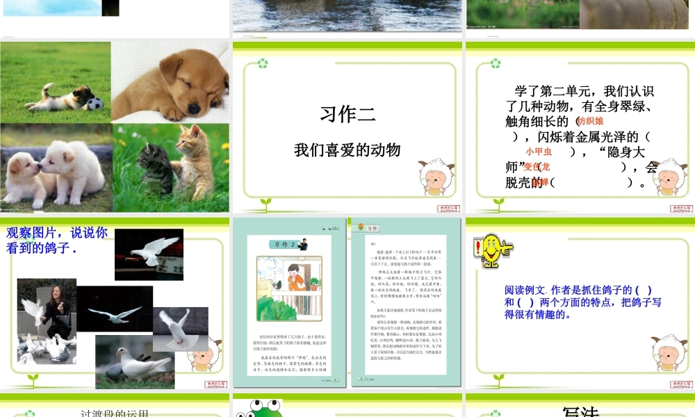 苏教版五年级上册语文习作二