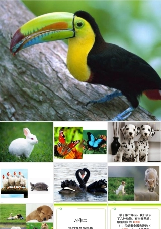 苏教版五年级上册语文习作二