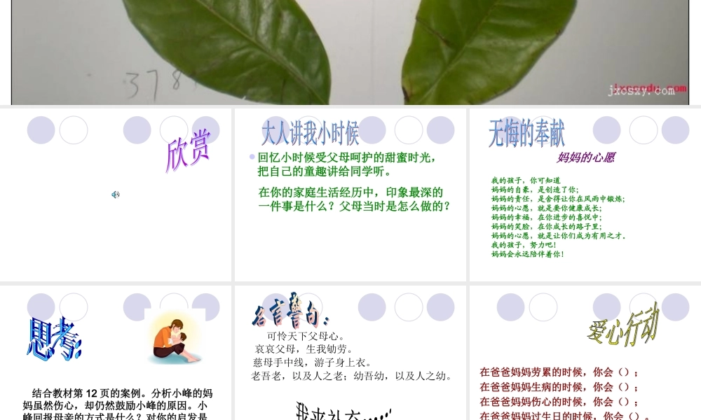 相亲相爱一家人