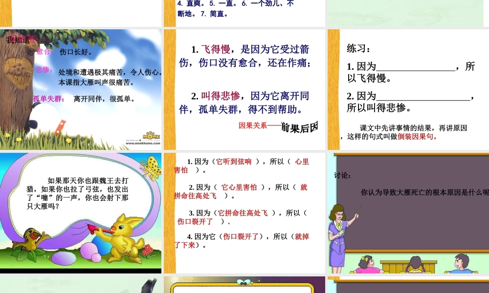 惊弓之鸟 (3)