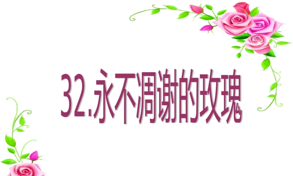 永不凋谢的玫瑰课课件